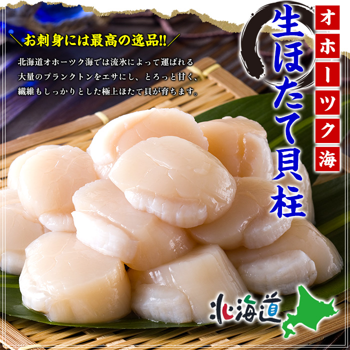 12-170 【訳あり】ほたて貝柱 １kg【欠け/サイズ不揃い】