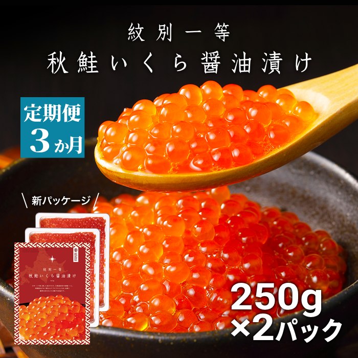 75-28 【定期便３か月】紋別一等～いくら醤油漬け500g（250g×2パック）×３回