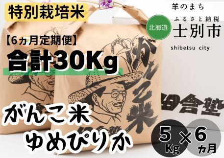 【北海道士別市】（6ヵ月定期便）田舎塾特別栽培米「ゆめぴりか」　5kg×6ヵ月