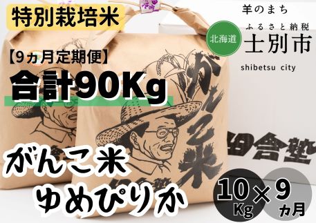 【北海道士別市】（9ヵ月定期便）田舎塾特別栽培米「ゆめぴりか」　10kg×9ヵ月