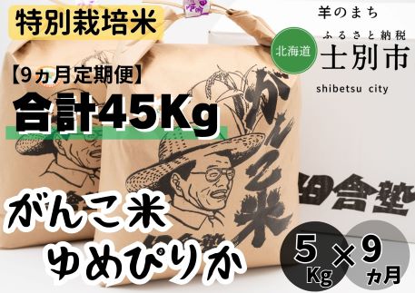 【北海道士別市】（9ヵ月定期便）田舎塾特別栽培米「ゆめぴりか」　5kg×9ヵ月
