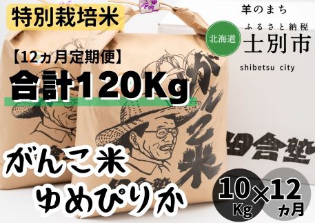 【北海道士別市】（12ヵ月定期便）田舎塾特別栽培米「ゆめぴりか」　10kg×12ヵ月