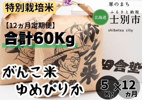 【北海道士別市】（12ヵ月定期便）田舎塾特別栽培米「ゆめぴりか」　5kg×12ヵ月