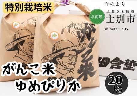 【北海道士別市】田舎塾特別栽培米「ゆめぴりか」　20kg