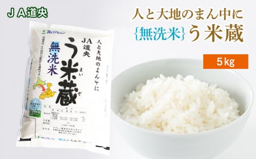 【無洗米】北海道産 う米蔵5kg【JA道央】
