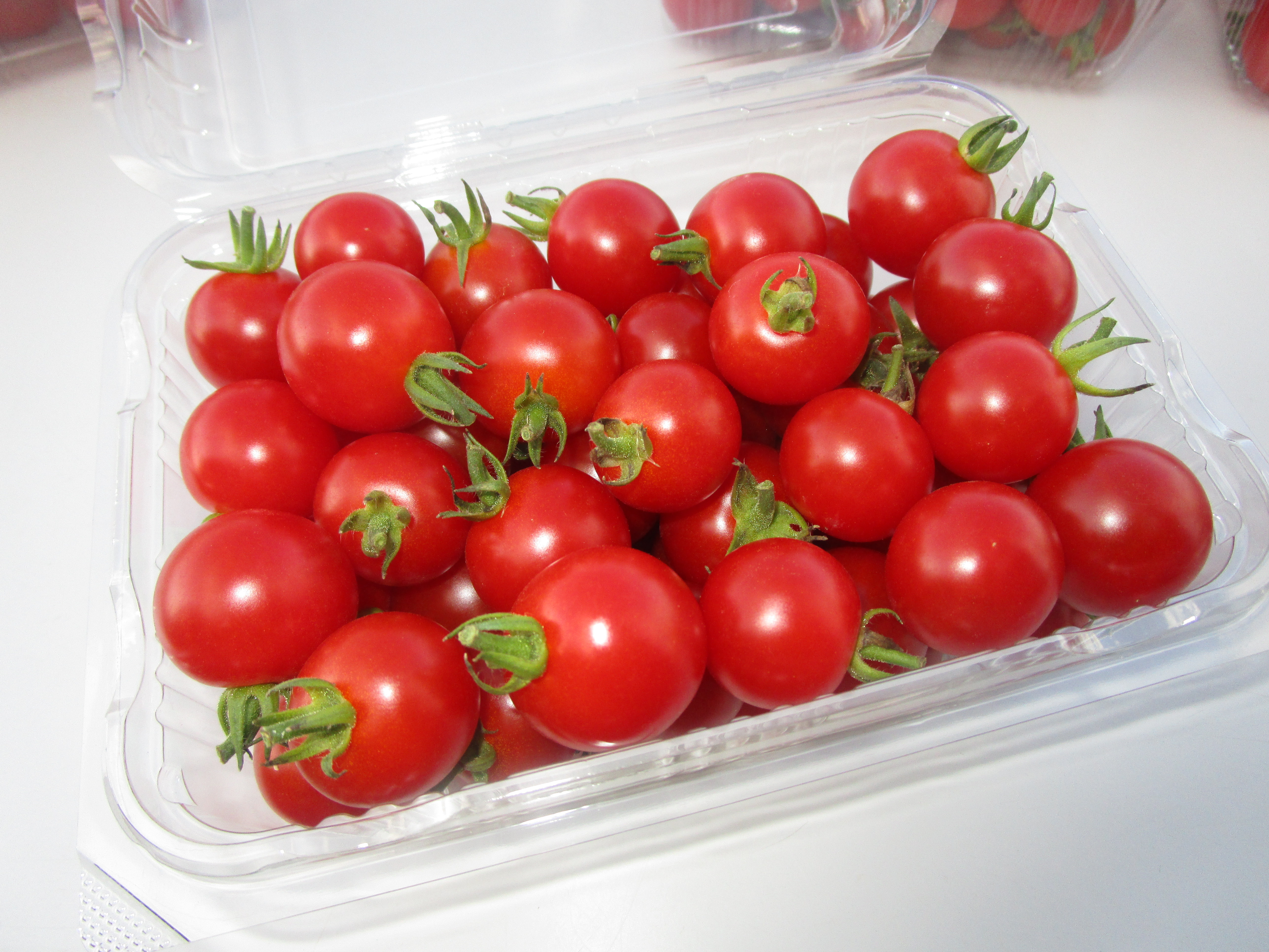 のあのらのミニトマト【赤】約1.1kg(栽培期間中農薬不使用)