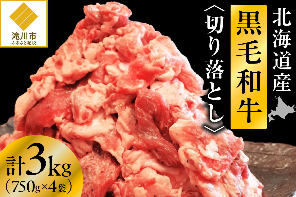 【訳あり】北海道産 黒毛和牛すじ切り落とし　750g×4袋｜北海道　国産　黒毛和牛　切り落とし　国産牛　お肉　牛肉　切落し　冷凍　小分け　パック　お取り寄せ　贅沢　おすすめ　送料無料　滝川市