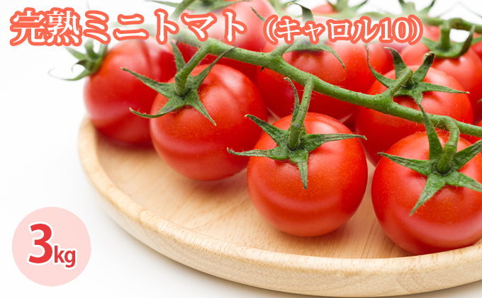 【訳あり】朝どり完熟フルーツミニトマト 3kg