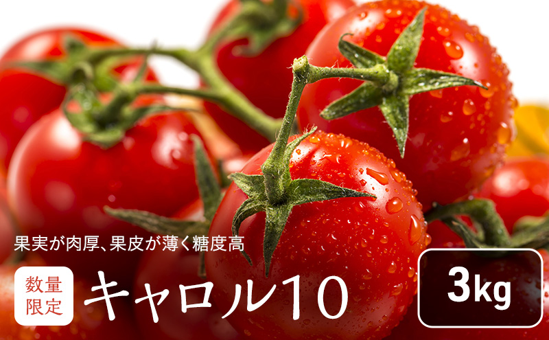 北海道 富良野市産 完熟ミニトマト（キャロル10）約3kg トマト 甘い