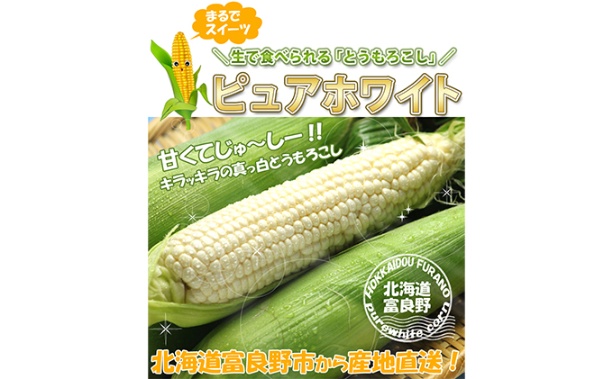 北海道富良野産 生で食べられる とうもろこし ピュアホワイト 10本（L～2Lサイズ）