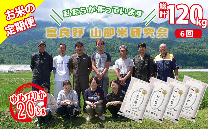 令和5年度産】◇6ヵ月定期便◇ 富良野 山部米研究会【 ゆめぴりか