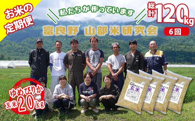 【令和5年度産】◆6ヵ月定期便◆ 富良野 山部米研究会【 ゆめぴりか 】玄米 5kg×4袋（20kg）お米 米 ご飯 ごはん 白米 定期 送料無料 北海道 富良野市 道産 直送 ふらの