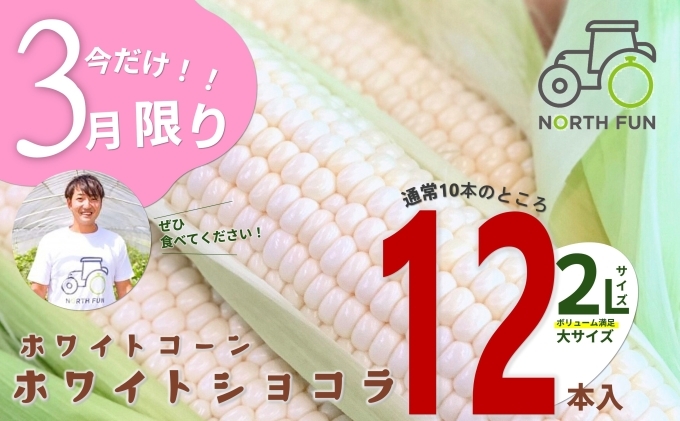 ※3月限定で2本増量※【2025年7月中旬～発送】北海道 富良野産 ホワイトコーン『ホワイトショコラ』BIG 2L サイズ 12本 とうもろこし (NORTH FUN) とうもろこし とうきび コーン 野菜 新鮮 甘い ジューシー 贈り物 ギフト 道産 直送 ふらの とうもろこし トウモロコシ 白とうもろこし ホワイト