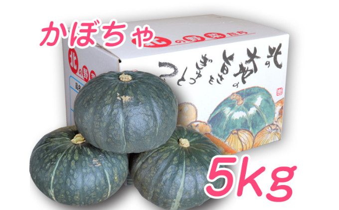 【2024年9月下旬より発送】北海道 富良野市産 かぼちゃ「ブラックのジョー」 5kg (中山農園) 野菜 新鮮 直送 いも 道産 ふらの 送料無料 数量限定 先着順 北海道 富良野市 ほくほく 秋