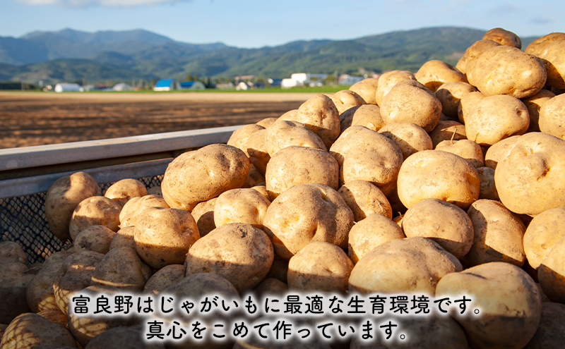 2024年9月～発送】北海道 富良野市 じゃがいも 食べ比べ きたあかり