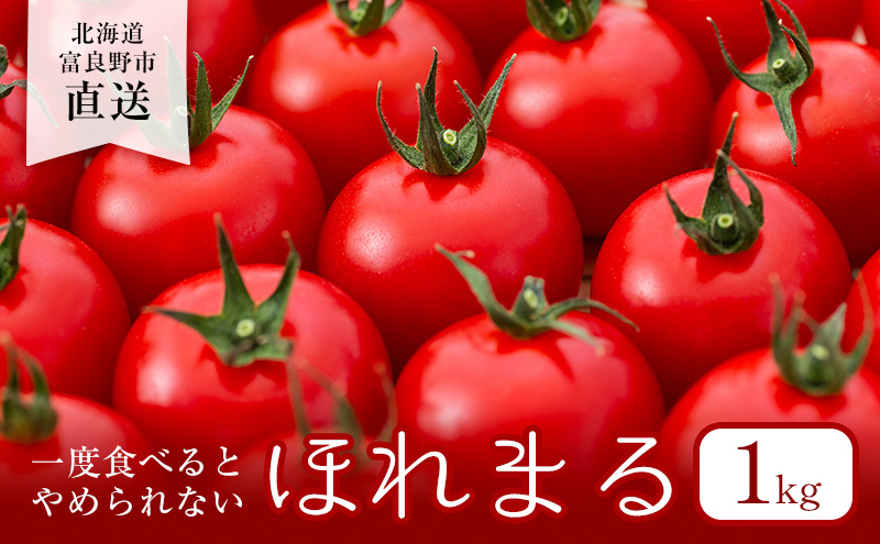 【2024年夏発送】ふらの ミニトマト 1kg（品種：ほれまる）北海道 富良野市 野菜 新鮮 直送 トマト 道産 ふらの 送料無料 数量限定 先着順