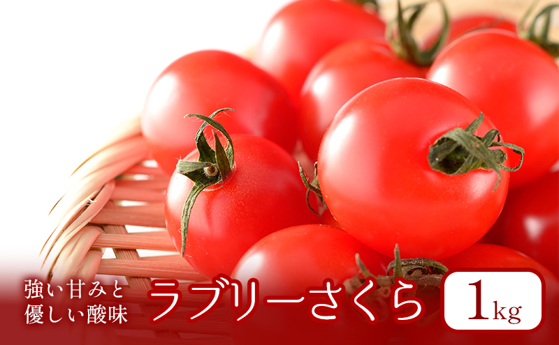 【2025年夏発送】ふらの ミニトマト 1kg（品種：ラブリーさくら）北海道 富良野市 野菜 新鮮 直送 トマト 道産 ふらの 送料無料 数量限定 先着順