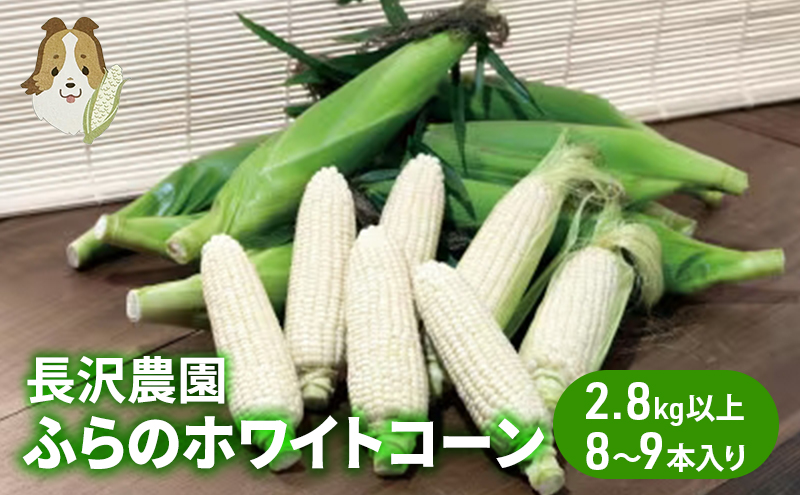 【先行受付】ふらのホワイトコーン　2.8kg以上(8～9本入り)　白とうもろこし ホワイトクリスピー 北海道