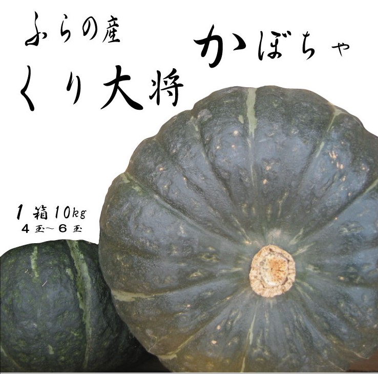 【数量・期間限定】ふらの産 かぼちゃ10kg［くり大将］ 富良野 北海道 カボチャ 南瓜 甘い 野菜