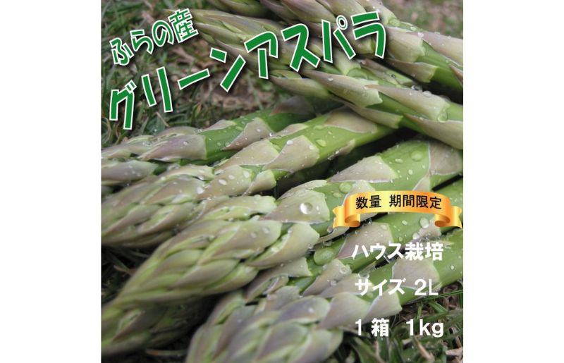 2025年春発送 ふらの産 グリーンアスパラ1kg［2Lサイズ］ハウス栽培 富良野 北海道 野菜 アスパラ 朝採り アスパラガス