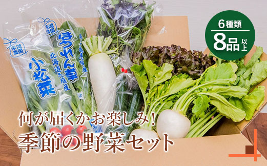 北海道産季節の野菜詰め合わせ 6種類8品 【310005】