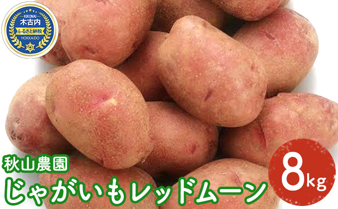 先行予約 北海道産 じゃがいも（ レッドムーン ）8kg 芋｜ふるラボ