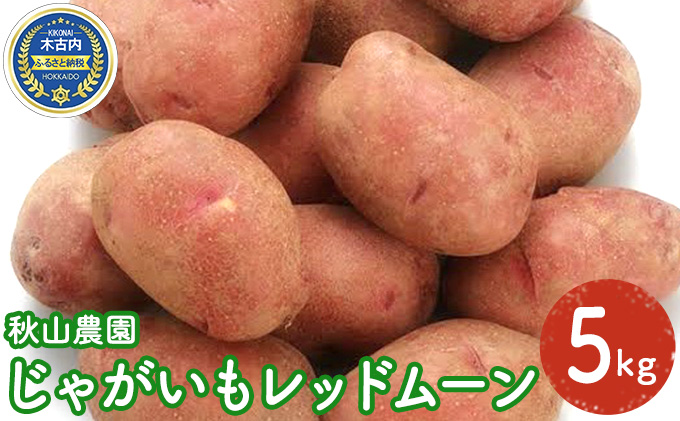 先行予約 北海道産 じゃがいも （ レッドムーン ）5kg 芋｜ふるラボ