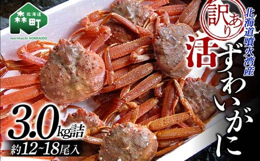 20-245 【特大4L～5L】ボイル本ずわいがに肩脚 4～5肩(約1.5kg)｜ふるラボ