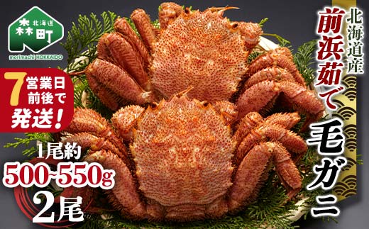 【順次発送】 前浜茹で毛がに 約500～550g×2尾 ＜株式会社 鳥潟＞ かに カニ 蟹 ガニ がに 毛蟹 毛かに 毛ガニ 毛カニ 北海道産 北海道 森町 mr1-0687-1