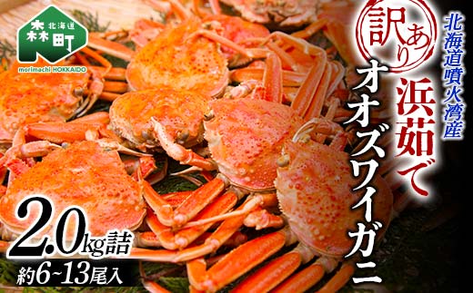 【訳あり】浜茹でオオズワイガニ 2.0kg 詰め込みセット 北海道噴火湾産 ＜道産ネットミツハシ＞ かに カニ 蟹 がに 北海道 森町 ふるさと納税 mr1-0736