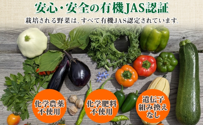 北海道産 旬の有機栽培野菜 5kg以内 じゃがいも にんじん 玉ねぎ