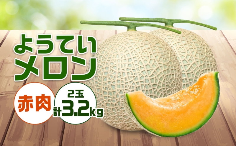 北海道 赤肉メロン 約1.6kg 2玉 メロン 赤肉 果物 フルーツ 甘い 完熟