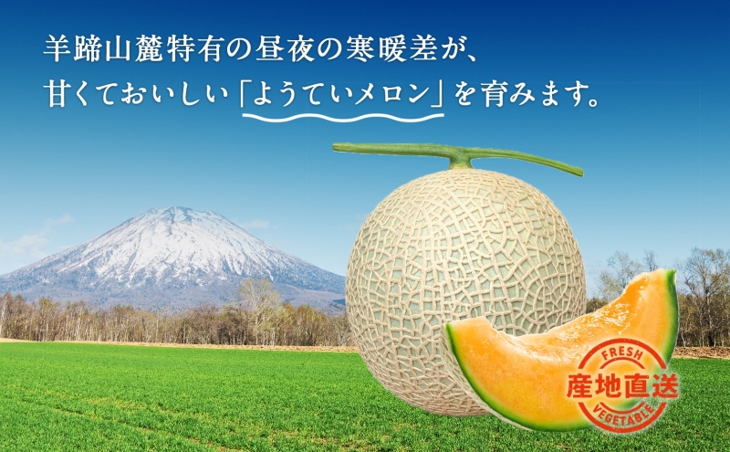 2025年発送 】先行予約 北海道 赤肉メロン 約1.6kg 2玉 メロン 赤肉 果物 フルーツ 甘い 完熟 スイーツ デザート 産直 国産 贈答品  お祝い ギフト羊蹄山 JAようてい｜ふるラボ