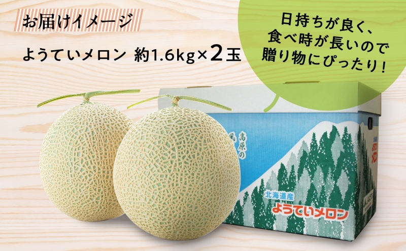 北海道 赤肉メロン 約1.6kg 2玉 メロン 赤肉 果物 フルーツ 甘い 完熟 スイーツ デザート 産直 国産 贈答品 お祝い ギフト羊蹄山  JAようてい 送料無料 北海道 倶知安町｜ふるラボ