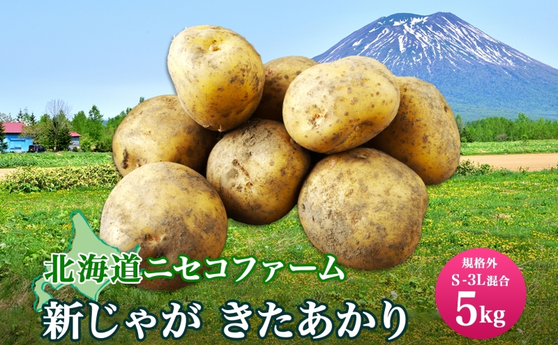 北海道産 じゃがいも きたあかり 5kg 規格外 訳あり S-3L サイズ混合 新じゃが 芋 ジャガイモ いも 野菜 農作物 お取り寄せ キタアカリ馬鈴薯  ニセコファーム 送料無料 北海道 倶知安町｜ふるラボ