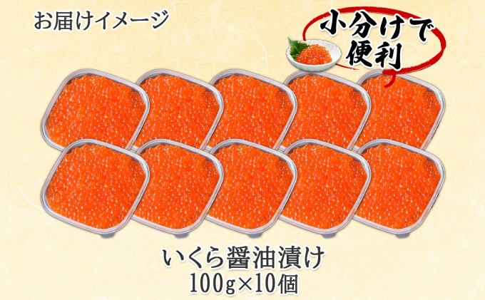 年内配送12月10日まで 北海道産 いくら醤油漬け 100g×10パック 計1kg