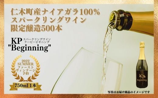 【北海道産ワイン】 限定スパークリングワイン KP”Begining" 750ml×1本  2022年初リリース！ 仁木町産ナイアガラ100%使用