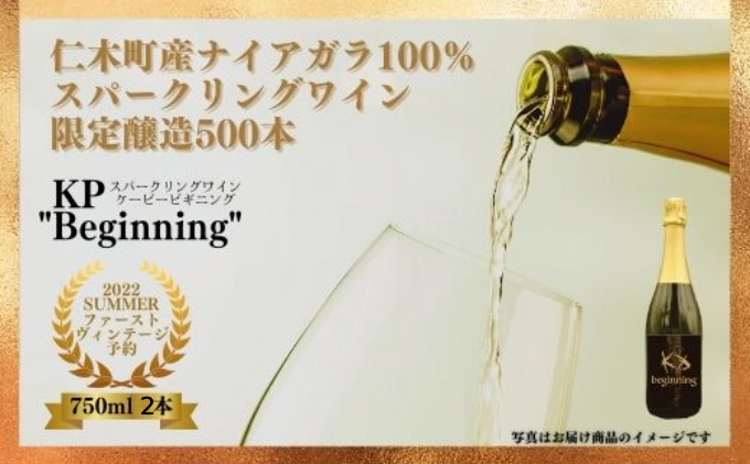 【北海道産ワイン】 限定スパークリングワイン KP”Begining" 750ml×2本  2022年初リリース！ 仁木町産ナイアガラ100%使用