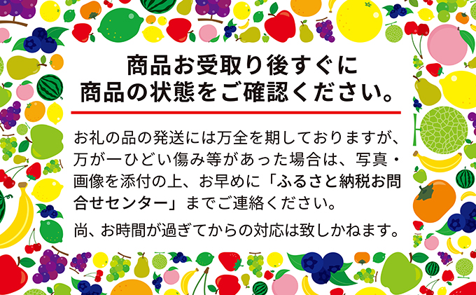 先行予約 2024年10月発送 北海道 仁木町産 いちご 「 すずあかね