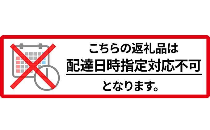 先行予約 2024年8月発送 北海道 仁木町産 いちご 「 すずあかね