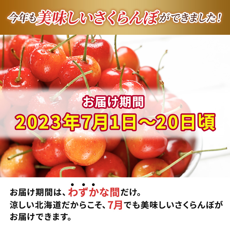 さくらんぼ 先行予約 佐藤錦 松山商店 サクランボ 600g L 厳選品