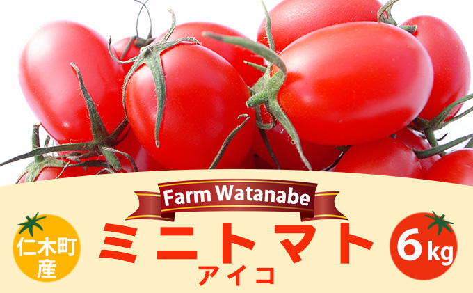 ミニトマト 10kg キャロル10 【糖度9以上】北海道産 農家直送 | neumi.it