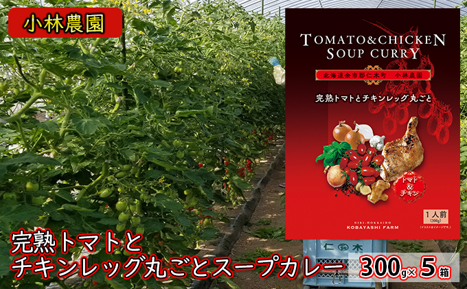 5箱 小林農園 完熟トマト チキンレッグ 丸ごと スープカレー 300g 北海道 仁木町