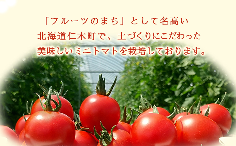 北海道仁木町産ミニトマト【アイコ】1.2kg×2箱［栽培期間中 農薬不使用］｜ふるラボ