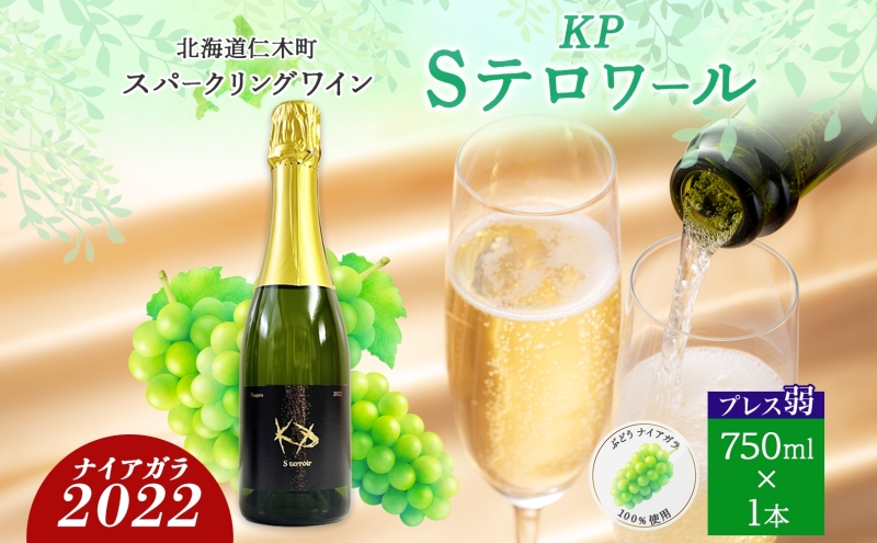 北海道産 スパークリング ワイン 750ml 1本 KPワイン Sテロワール ぶどう ナイアガラ 葡萄 ブドウ 白ワイン 辛口 酒 お酒 贈答 贈り物  お祝い ギフト 記念日 送料無料｜ふるラボ