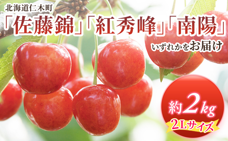 北海道 仁木町産 さくらんぼ 約2kg 2Lサイズ 仁木ファーム 果実