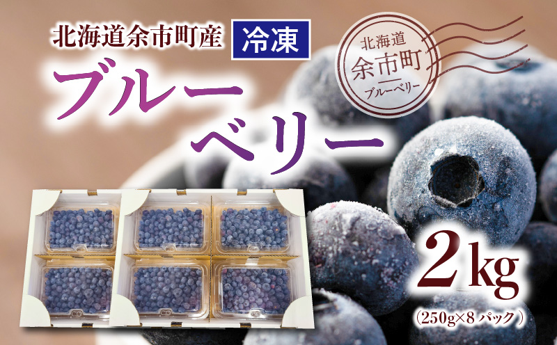 冷凍ブルーベリー 250g×4パック×2箱 北海道産_Y010-0025