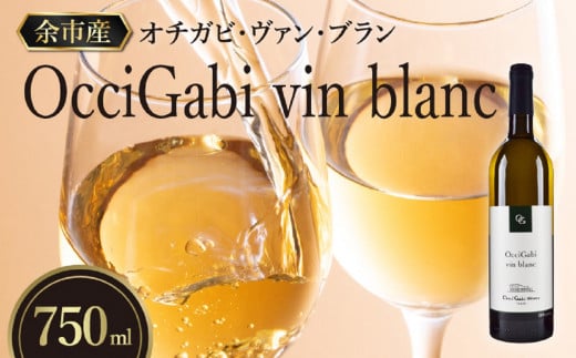 【OcciGabi Winery】オチガビ・ヴァン・ブラン_Y012-0092