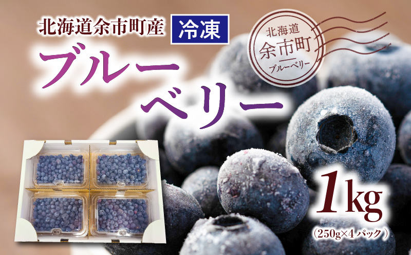 冷凍ブルーベリー 250g×4パック 北海道産_Y010-0024