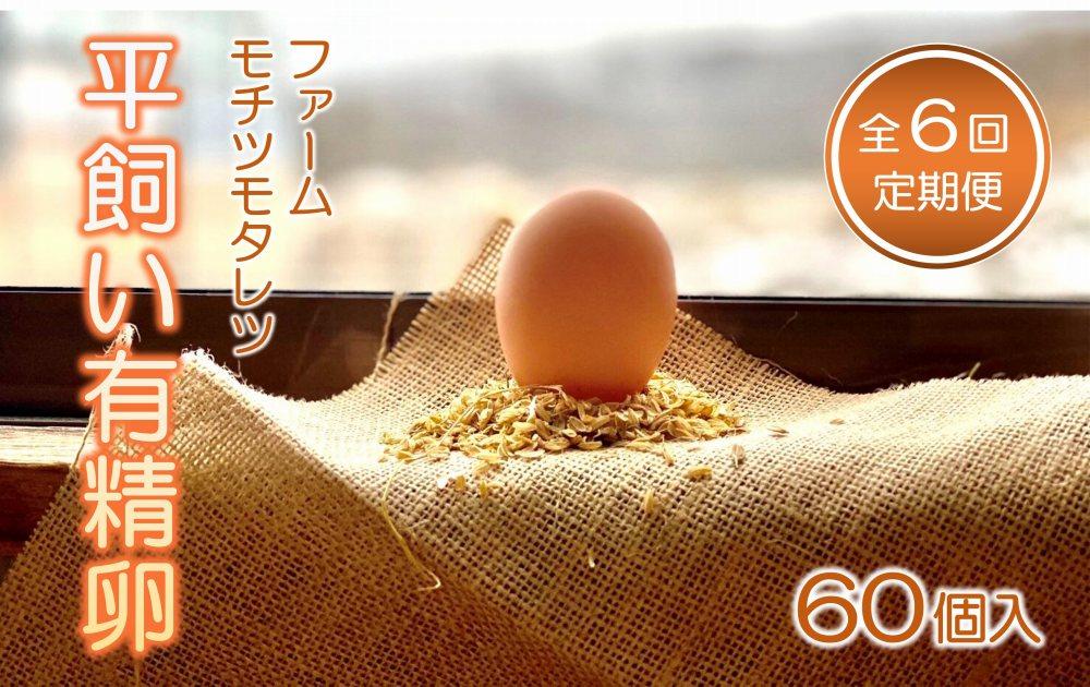 【6回定期便】ファームモチツモタレツの平飼い有精卵（60個入）